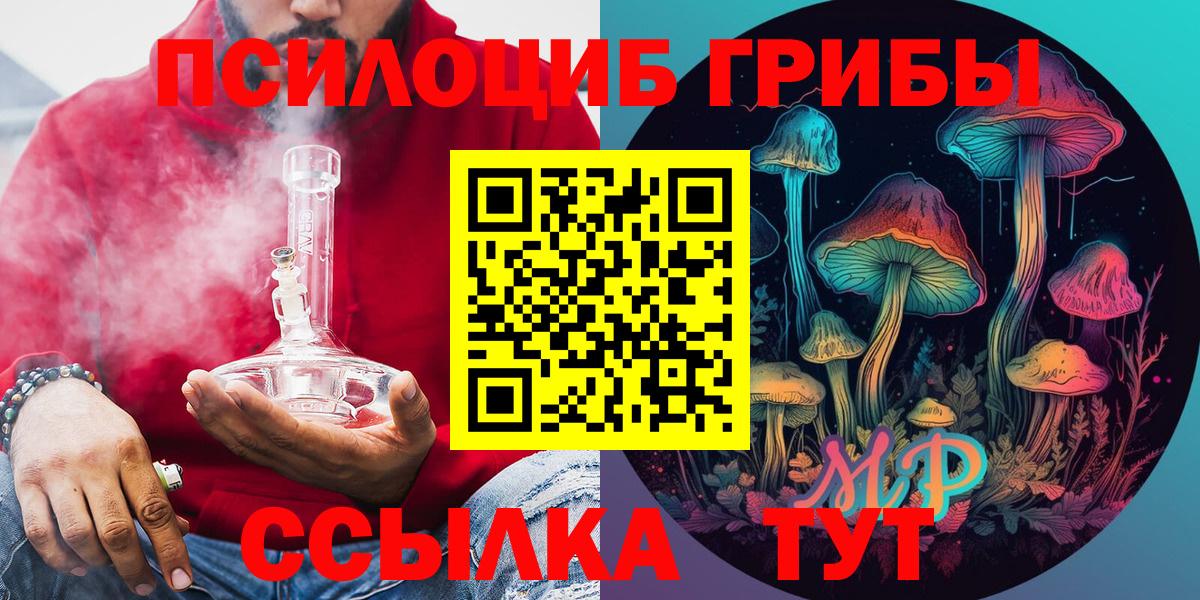 Галлюциногенные грибы Psilocybine cubensis Кизляр