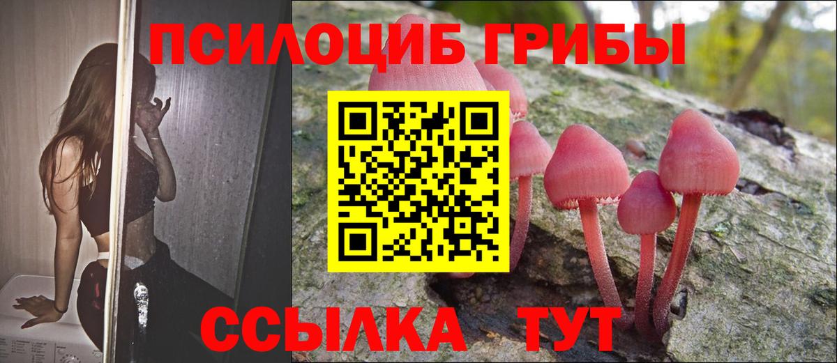Галлюциногенные грибы прущие грибы  где купить   Кизляр  Вход с VPN 