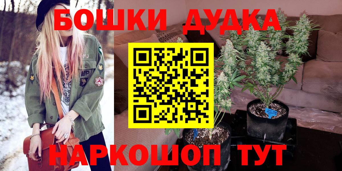 Канабис конопля Кизляр